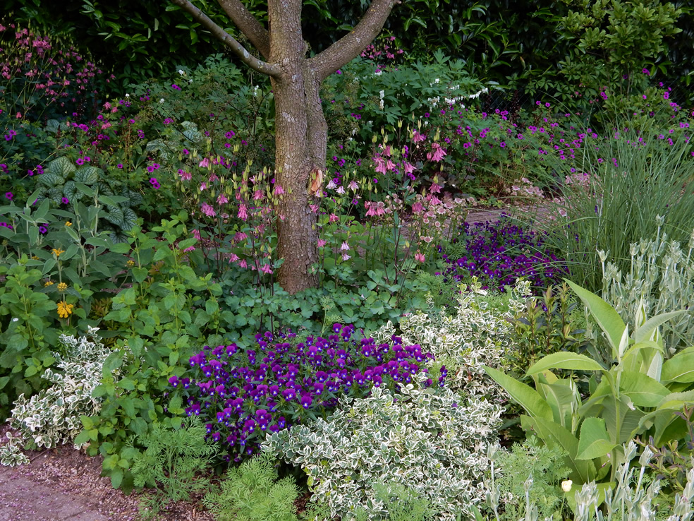 Tuin Eikenlaan Oosterhout